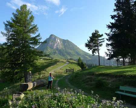 075 L'hébergement du 3ème soir offre une jolie vue sur la face nord du Moléson.