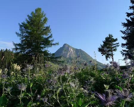 076 L'hébergement du 3ème soir offre une jolie vue sur la face nord du Moléson.