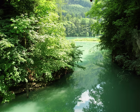 091 Le lac vert de Montbovon.