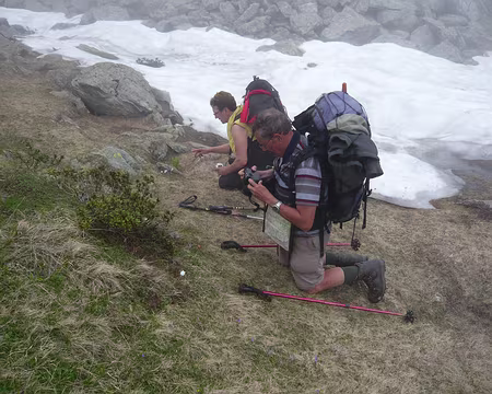 PXL043 Tous à genoux pour ?
