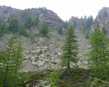 PXL057 Pierrier “italien”