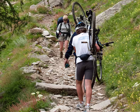 CK_0000252_web Qu'est qui faut être bête pour faire du vélo