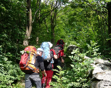 P1030325 Montée au col