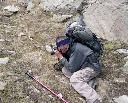 P1030480 Soldanelle.