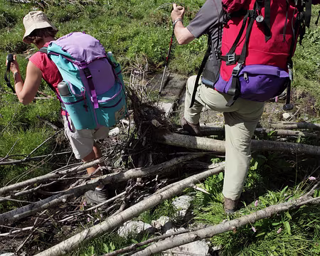 IMG_5718 Epreuve : mikado !