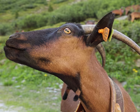 IMG_6002 « Parce que je le vaux bien ! »