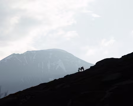 IMG_6171 Au petit déjeuner : 