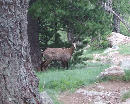 004 première rencontre