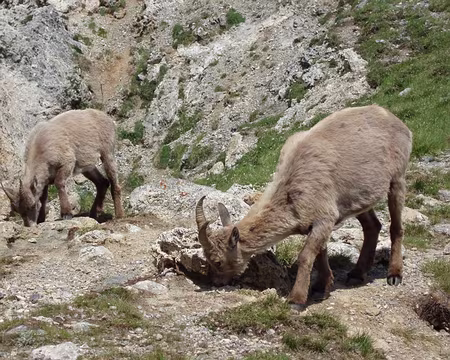 068 à la Baisse de Vallaurette