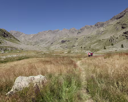 IMG_8664 Alpages au dessus de la cabanne de Chichin