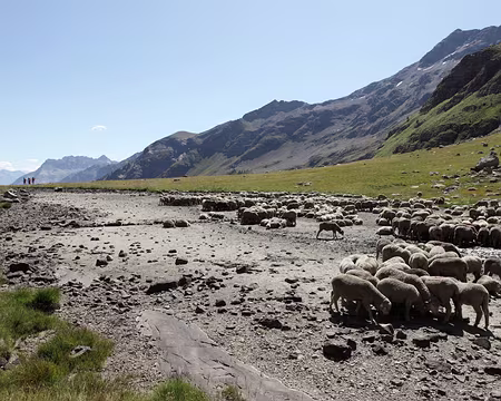 IMG_8685 Lac du Lauzeron