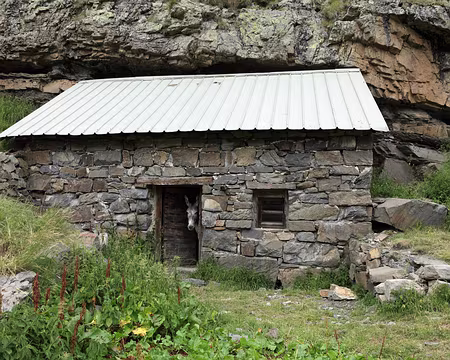 IMG_7631 Â«Â Bonjour, vous cherchez quelquâ€™un ?Â Â» (Ex-abris de randonneurs Ã proximitÃ© de la Grande Cabane)