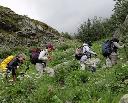 IMG_7958 Lundi matin gris