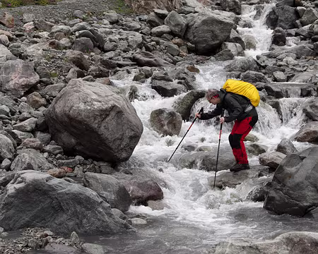 IMG_7967 Tentative de franchissement, ou ours guettant les saumons ?