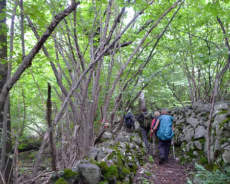 025 Départ en promenade malgré la météo inclémente.
