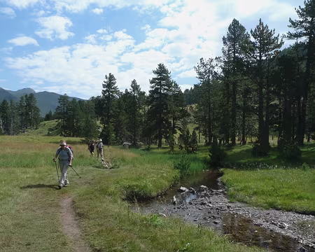 032 Au long de l'Aigüeta del Pino.