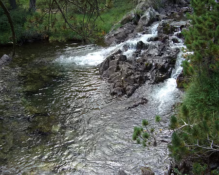 033 Au long de l'Aigüeta del Pino.