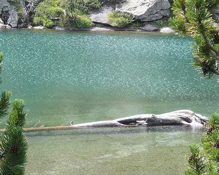 044 Le vallon de Perramó possède une riche section d'art abstrait.