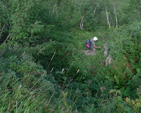 091 Finalement, elle arrive, la végétation luxuriante du versant nord