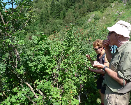 092 et elle est même comestible.