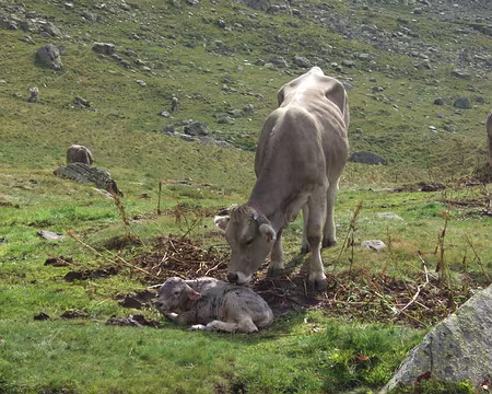 099 C'est en tous cas un héritage que nous saurons transmettre au sein du Club
