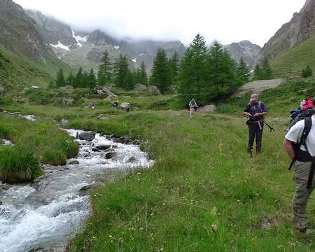 019 Dans la combe verdoyante du Grand Chamin