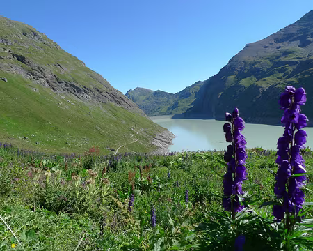 068 A 2 km de distance, au bout du lac des Dix, le monstre de béton apparaît.