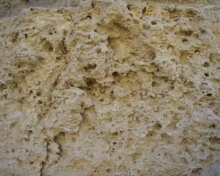 025 Calcaire coquiller