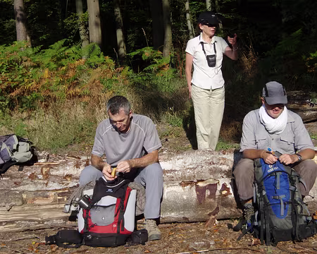 036 Dernière pause avant l'hôpital psychiatrique de Prémontré