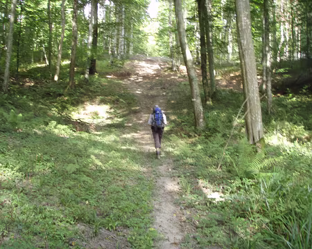 038 Retz ? Non saint Gobain