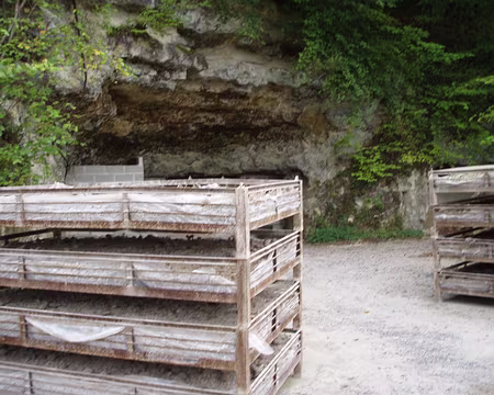 044 Entrée de la champignonière