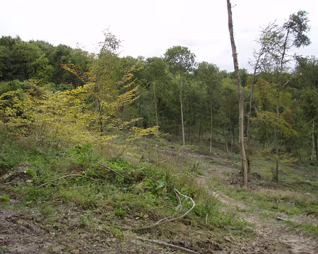 045 L'automne arrive