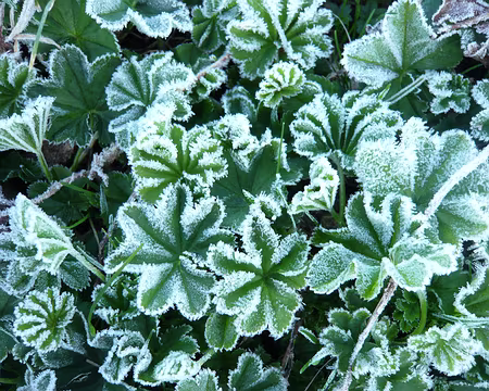 PXL034 Nous aussi, disent-elles.