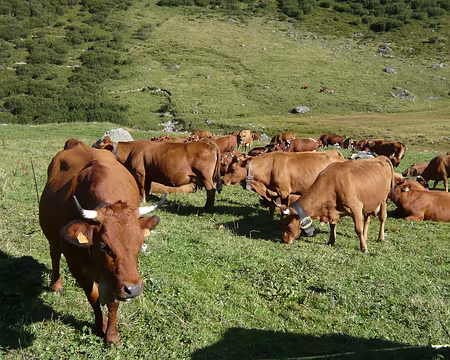 PXL046 La fabrique de Beaufort