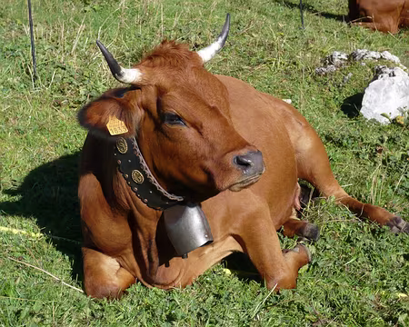 PXL048 Oui trop belle !