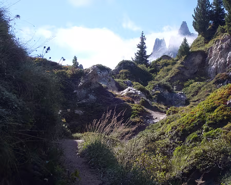 S1033849 Crêtes de Charvet