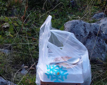 S1033873 picard livre partout !