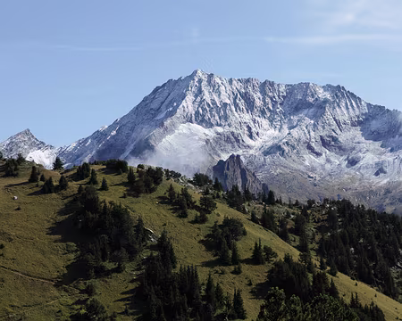 IMG_0390 Le Grand Bec (3399m)