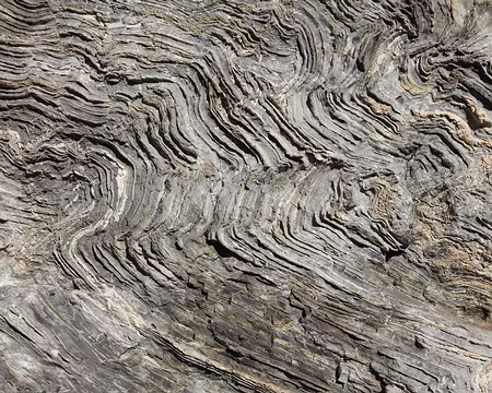 IMG_1910 Calcaire très plissé