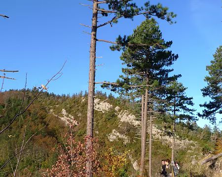 01 1er jour. Au col Varaime, au dessus du village de Boulc.