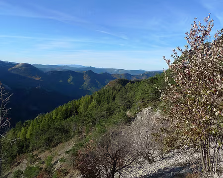 02 Rayons de soleil matinaux, côté adret.