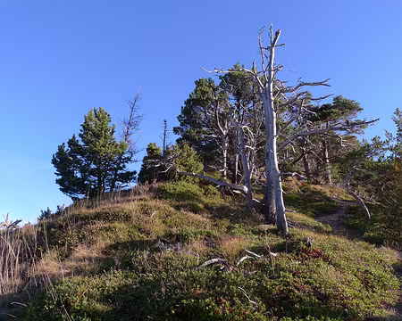 03 Rayons de soleil matinaux, côté adret.