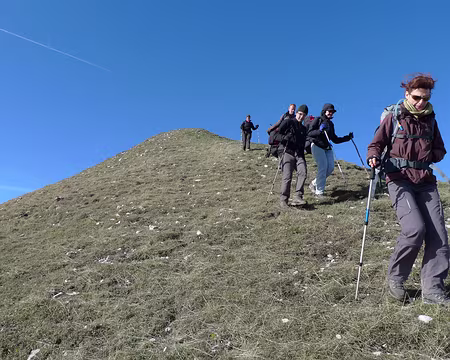 12 Pente herbeuse sèche et ventée, sur la crête nord-est de la Toussière.