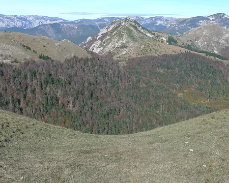 15 Couleurs automnales.