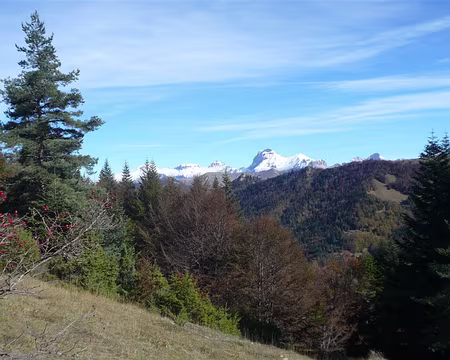 23 Les cynorrhodons rouges et les sommets blanchis complètent la palette des couleurs.