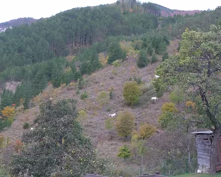 26 2ème jour. De petites tâches blanches originales !