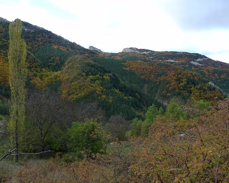 27 Végétation automnale.