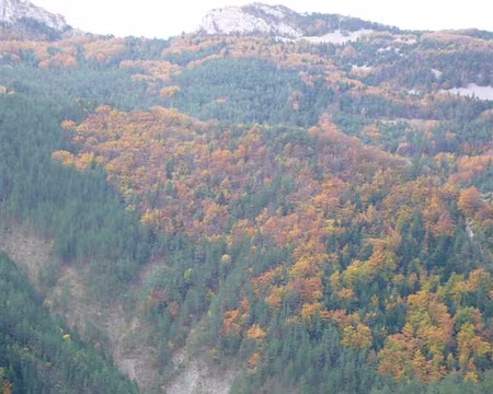 28 Charmant spectacle.