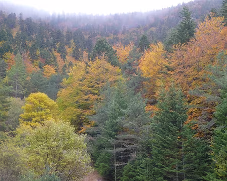 32 La brume matinale se dissipe et nous dévoile quelques trésors.