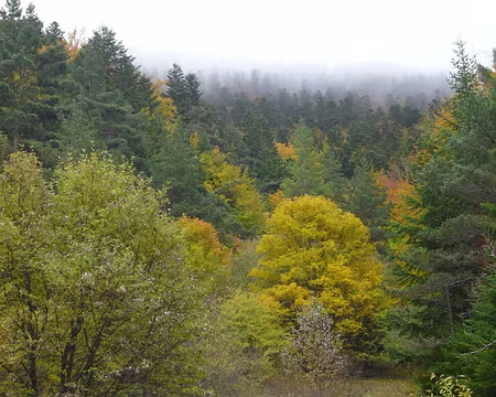 33 La brume matinale se dissipe et nous dévoile quelques trésors.